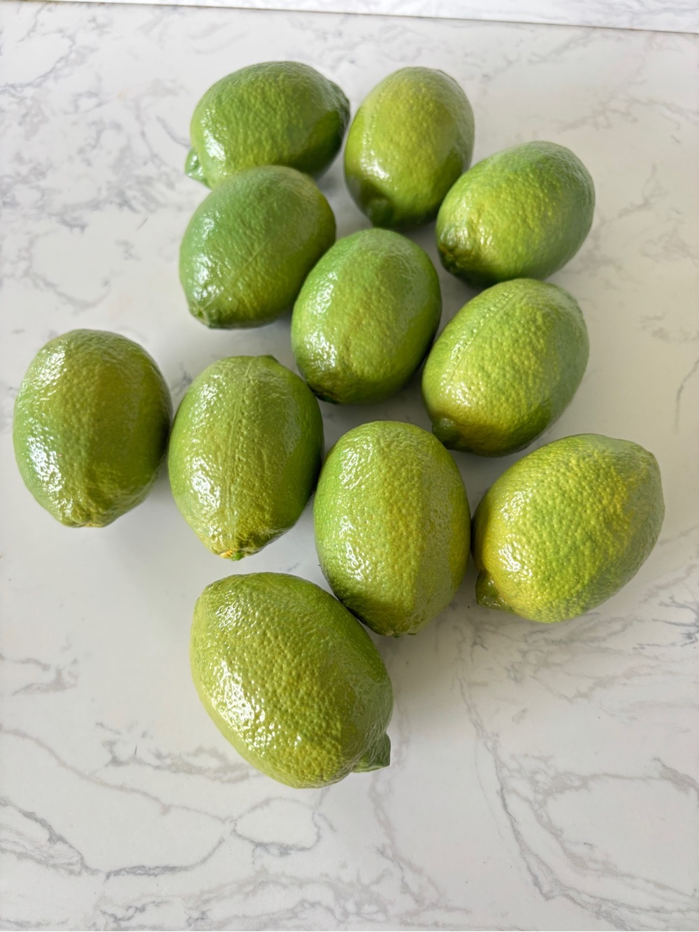 Set of 10 artificial limes
